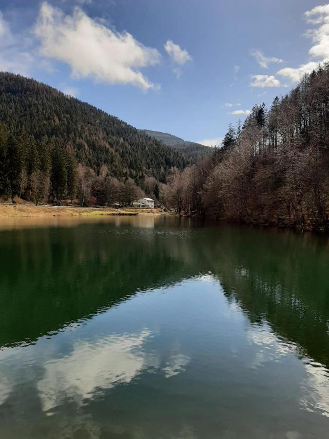 Bocksbergglueck In Hahnenklee, Endreinigung, Bezogene Betten, Handtuecher Inklusive جوسلار المظهر الخارجي الصورة