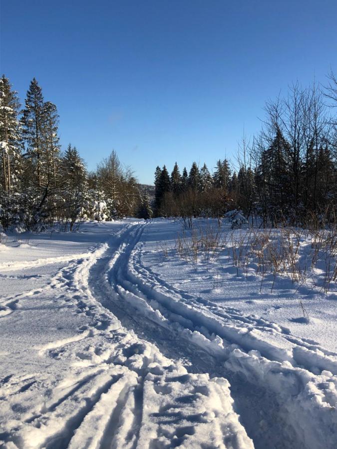 Bocksbergglueck In Hahnenklee, Endreinigung, Bezogene Betten, Handtuecher Inklusive جوسلار المظهر الخارجي الصورة